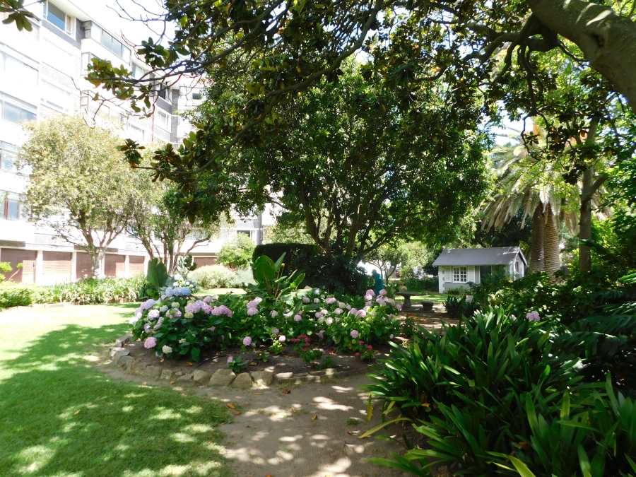 To Let 3 Bedroom Property for Rent in Rondebosch Village Western Cape